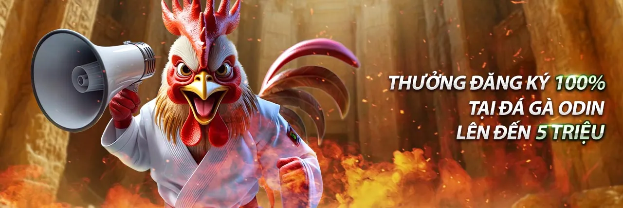 Các chương trình khuyến mãi hấp dẫn cho người chơi đá gà