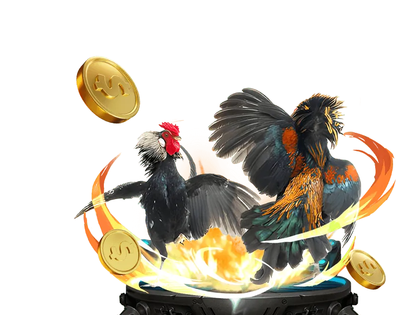 Hướng dẫn đăng ký tài khoản đá gà trực tuyến dễ dàng